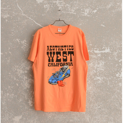 Aesthetics West