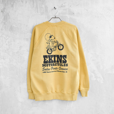 Ekins