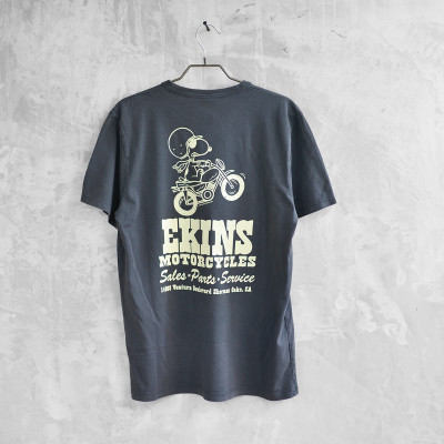 Ekins
